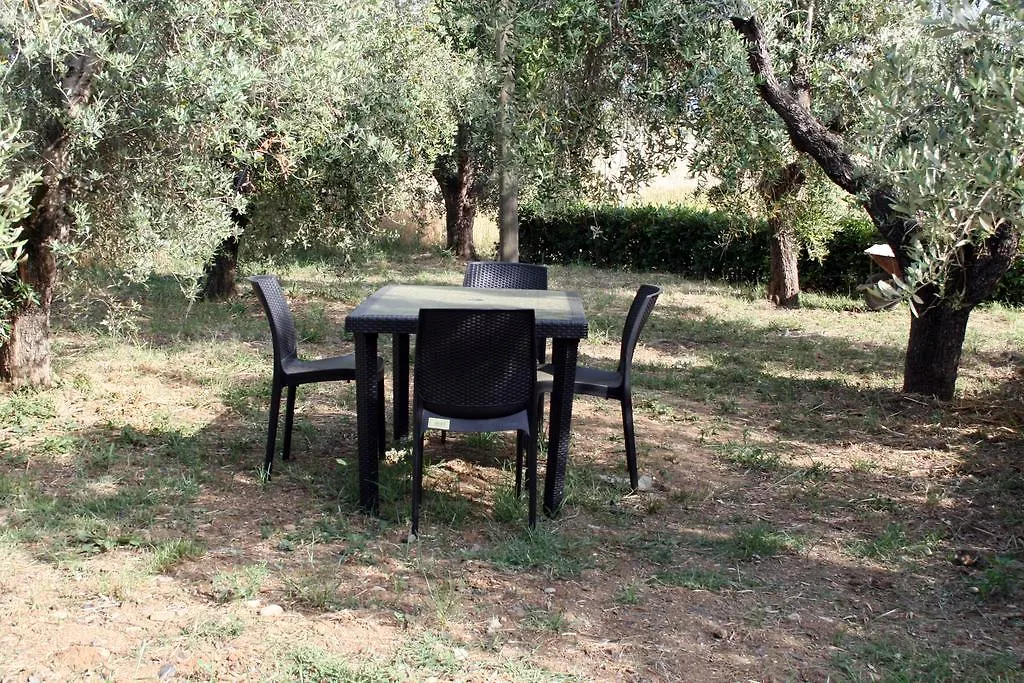 Farm stay Agriturismo Le Quadrelle Villa Bibbona Italy