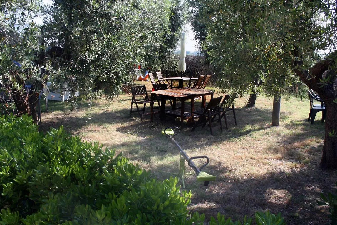 Agriturismo Le Quadrelle Villa Bibbona 0*,